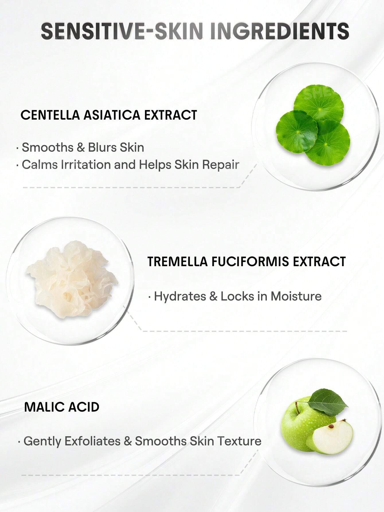 Primer Suavizante & Difuminador Camera on